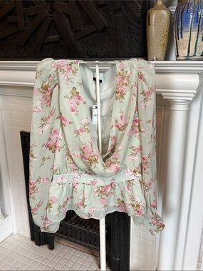 Express Mint Green Floral v -Neck Blouse with Pink Roses- NWT. Retail 59.95